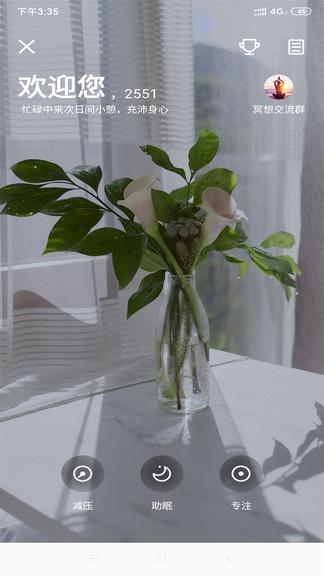 听芝倾诉app下载,听芝倾诉,塔罗牌app,占卜app